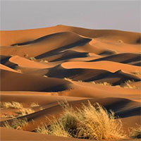 Dùng radar đo độ sâu sa mạc Sahara, các nhà khoa học phát hiện ra 