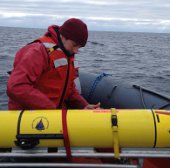 Dùng robot để nghiên cứu cá voi sắp tuyệt chủng
