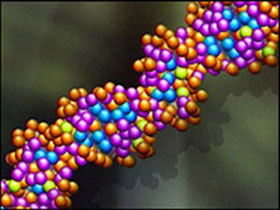 Gene - tác nhân gây bệnh tâm thần phân liệt