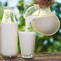 Giải pháp đột phá giúp bảo quản sữa tươi đến 60 ngày