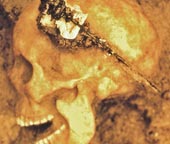 Gien Ả Rập trong ngôi mộ Đan Mạch thời Đồ Sắt