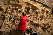 Hàng trăm bộ xương thời Trung Cổ dưới nền siêu thị Paris