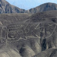 Hình vẽ cá voi sát thủ dài 70 mét trên sa mạc Peru