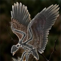 Hóa thạch chim có hộp sọ như khủng long bạo chúa