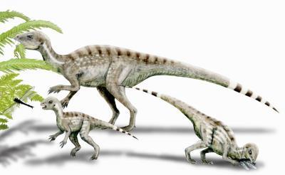 Hóa thạch khủng long “tí hon”