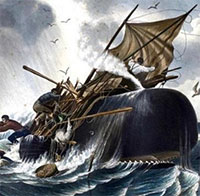 Hung thần cá voi khiến thủy thủ Constantinope khiếp sợ
