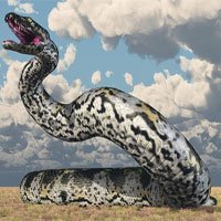 Huyền thoại loài rắn quái vật từng thống trị Colombia thời tiền sử