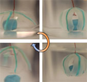 Hydrogel tương tác điện mở ra tiềm năng ứng dụng y sinh và robot
