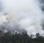 Indonesia dội bom nước để dập cháy rừng