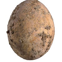 Israel phát hiện quả trứng gà 1.000 năm tuổi còn nguyên vẹn