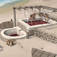 Khai quật được nhà máy rượu nho 2.600 năm tuổi