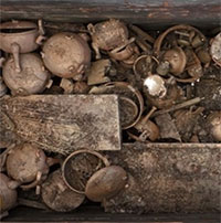 Khai quật ngôi mộ 2.200 năm có thể thuộc về vua nước Sở
