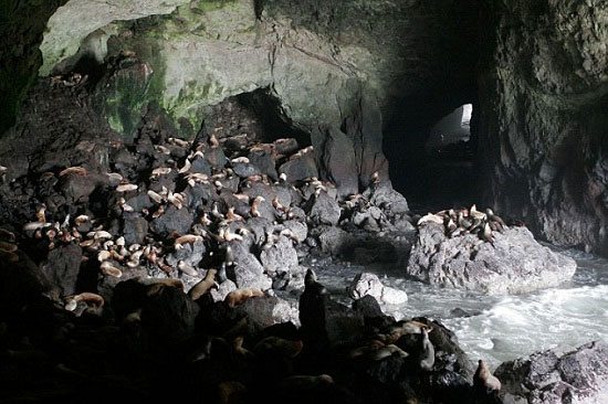 Khám phá 7 hang động biển kì vĩ nhất thế giới