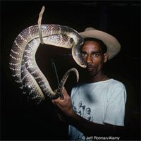 Khám phá bộ lạc người rắn bí ẩn ở Ấn Độ