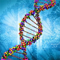 Khám phá mới: Tế bào của người có thể tự điều chỉnh chuỗi RNA thành DNA