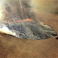 Khí carbon do cháy rừng ở Australia tương đương lượng khí thải cháy rừng Amazon