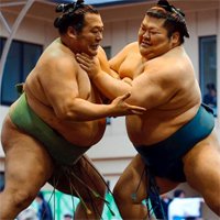 Không ngờ da thịt võ sĩ sumo chạm nhau lại 