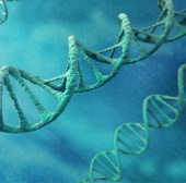 Không thể xác định tổ tiên bằng kiểm tra ADN