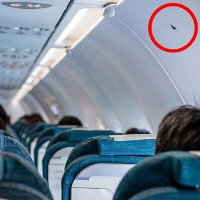 Ký hiệu hình tam giác màu đen trên máy bay có ý nghĩa gì?