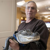 Kỳ lạ cá sấu giúp chữa trầm cảm ở Mỹ