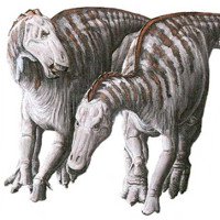 Kỳ lạ hóa thạch khủng long mỏ vịt có khối u trên mặt