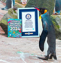Kỷ lục Guiness ghi nhận chim cánh cụt mang hàm Thiếu tướng