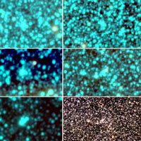 Kỳ thú cụm sao hình cầu mới trong thiên hà Milky Way