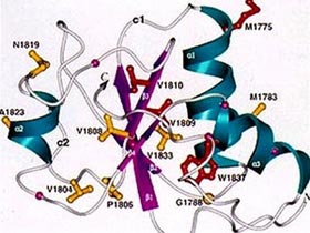 Lần đầu phác họa bản đồ hệ gen của một gia đình