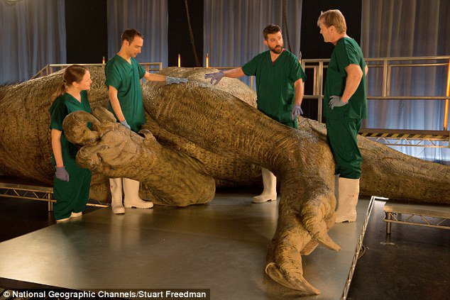 Lần đầu tiên khám nghiệm tử thi một con khủng long T-Rex hoàn thiện nhất