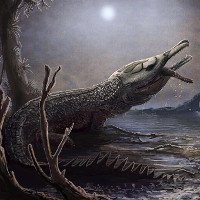 Loài cá sấu cổ đại có thể cắn nát rùa biển bằng một cú đớp