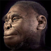 Loài Hominids sống khoảng 18.000 năm trước có thể vẫn còn tồn tại