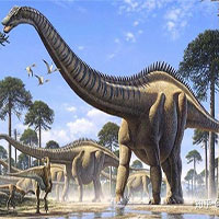 Loài khủng long có lông lâu đời nhất được tìm thấy ở Bắc Mỹ, sống cách đây 150 triệu năm
