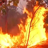 Loạt ảnh gây sốc về rừng Amazon bùng cháy với tốc độ kỷ lục