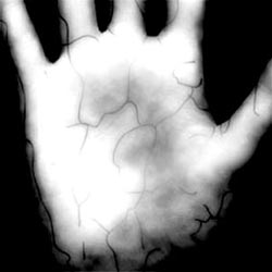 Lòng bàn tay <i>“đáng tin cậy”</i> hơn ngón tay