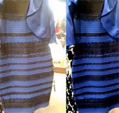 Lý giải về màu sắc của chiếc váy 