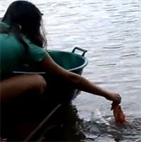 Màn câu cá piranha “siêu độc” của thiếu nữ Brazil