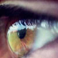 Mắt bionic gửi hình ảnh trực tiếp về não để phục hồi một phần thị lực