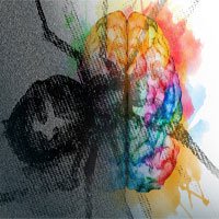 MIT tìm ra mạch thần kinh kiềm chế các hội chứng ám ảnh sợ hãi