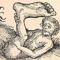 Monopod – Truyền thuyết về người lùn chỉ có một chân giữa đầy bí ẩn trong sách cổ