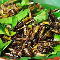 Một món ăn "đặc sản" vào mùa: Người Việt mê tít nhưng tiềm ẩn nguy cơ bệnh tật, có thể gây tử vong