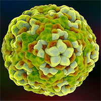 Mỹ cảnh báo loại virus có thể gây liệt ở trẻ em