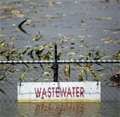 Mỹ làm pin “vi khuẩn trong nước thải”