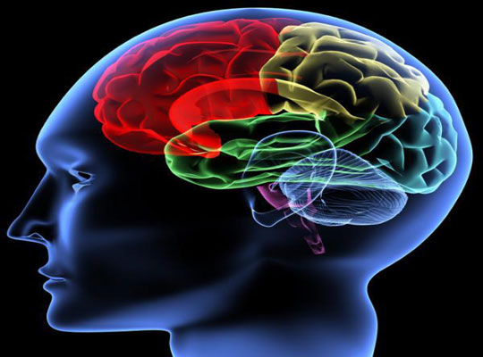 Mỹ nghiên cứu thiết bị kết nối não với máy móc