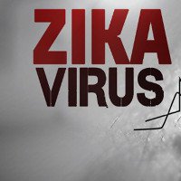 Mỹ thử thành công vắc xin phòng chống virus Zika trên động vật