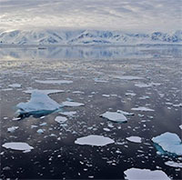 Nam Cực mất lượng băng biển bằng Argentina, thêm kỷ lục về khí hậu bị phá vỡ