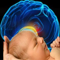 Não người phát triển nhanh nhất sau khi sinh