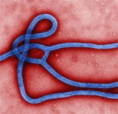 Nga cảnh báo nguy cơ Ebola thành vũ khí sinh học