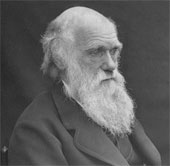 Ngày 12/2: Charles Darwin - Thuyết tiến hóa và chọn lọc tự nhiên