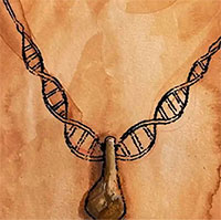 Nghiên cứu DNA để tìm ra chủ nhân sợi dây chuyền thời đồ đá