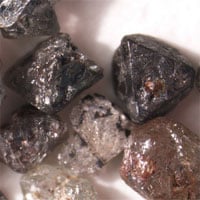 Nghiên cứu mới gây sốc: Hàng loạt sinh vật chết đi hóa thành kim cương